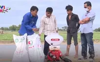 Campuchia đưa máy móc vào sản xuất nông nghiệp