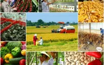 Diễn đàn Tài nguyên Mekong lần thứ ba: Kết nối ý tưởng cộng đồng
