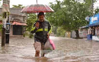 Bão Max đổ bộ vào Mexico gây mưa lớn