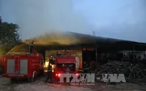 Đăk Nông: Xưởng chế biến gỗ bốc cháy ngùn ngụt