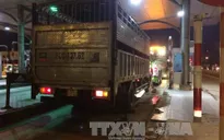 Xe tải chống hiệu lệnh, đâm tử vong một cảnh sát giao thông