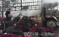 Xe chở vải bốc cháy ngùn ngụt trên đường Hồ Chí Minh