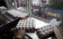 700.000 quả trứng nhiễm chất độc được nhập khẩu vào Anh