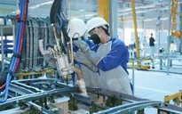 TP.HCM đứng đầu cả nước về số vụ tai nạn lao động