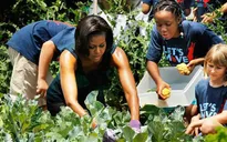 Di sản của Đệ nhất phu nhân Mỹ Michelle Obama