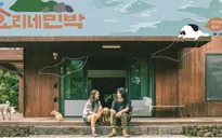 Show thực tế ăn khách của Lee Hyori bị đài truyền hình Trung Quốc đạo nhái