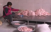 Thu giữ hơn 1 tấn mỡ lợn không rõ nguồn gốc xuất xứ