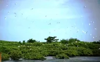 Nâng cao nhận thức cộng đồng về bảo vệ môi trường
