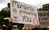 Hàng nghìn nông dân Mỹ kiện Monsanto vì thuốc diệt cỏ gây hại