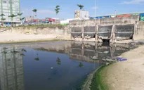 Thanh tra và đình chỉ thi công công trình xả thải trái phép tại Đà Nẵng