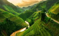 Lễ hội ruộng bậc thang Mù Cang Chải