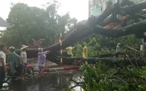 Hoàn lưu bão số 6 gây mưa giông và lốc xoáy ở Lào Cai