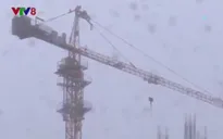 Nhiều nhà dân ở Nghệ An bị tốc mái, lúa và hoa màu bị ngã đổ