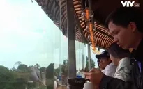 Đà Lạt mưa vẫn quyến rũ