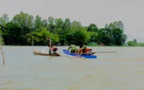 Gia tăng buôn lậu mùa lũ tại Đồng Tháp