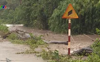 Khẩn trương ứng phó mưa lũ sau bão số 7