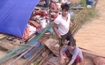 Mưa lũ ở Hòa Bình: Người dân phải ra bè ở