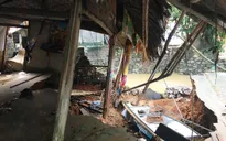 Chuẩn bị ứng phó với bão số 7