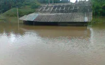 9 người thiệt mạng do mưa lũ tại các tỉnh miền núi phía Bắc