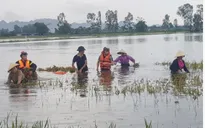 Ngân hàng hỗ trợ người dân bị thiệt hại do lũ lụt