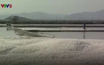 Phú Yên: Công bố nhãn hiệu chứng nhận “Muối Tuyết Diêm”