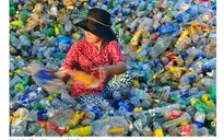 Độc đáo Triển lãm về những mảnh đời mưu sinh thành phố