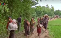 Myanmar lập ủy ban cố vấn thực thi khuyến nghị về bang Rakhine