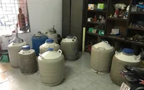 Hà Nội: Xử lý cơ sở kinh doanh "bóng cười", thu giữ nhiều bình khí cười N2O