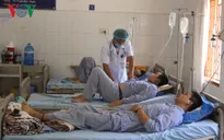 12 người bị ngộ độc nấm tại Sơn La