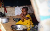 Hơn 100 người tử vong do nạn đói tại Somalia