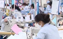 Vì sao năng suất lao động của Việt Nam thấp?