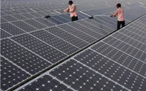 Tương lai của sản phẩm thân thiện với môi trường tại Đức