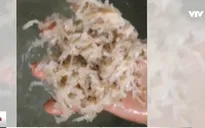 Giật mình công nghệ sản xuất nem chua rán tẩm hóa chất