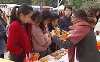 Hơn 3.000 sinh viên tham gia ngày hội việc làm tại Hà Nội