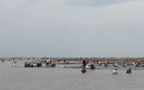 Kiên Giang: Rầm rộ nạn cào trộm nghêu