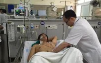 Ba người trong một gia đình nguy kịch do ăn phải nấm độc