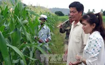 Hàng nghìn hộ dân Tây Nguyên nhận hỗ trợ sau hạn hán