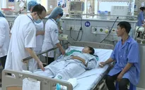 Cả nhà nguy kịch do ăn nấm rừng độc