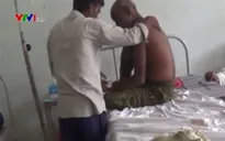 29 người bị ngộ độc trà tại Ấn Độ