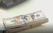Tín dụng ngoại tệ 8 tháng đầu năm tăng