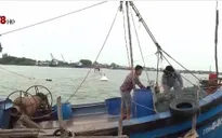 Thừa Thiên - Huế: Hỗ trợ gần 5 tỷ đồng cho tàu cá xa bờ