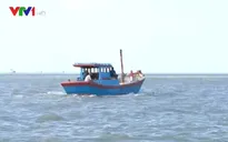 Gia tăng tình trạng ngư dân bị bắt do đánh bắt hải sản trái phép