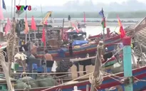 Sau bão, ngư dân Hà Tĩnh vươn khơi trúng đậm "lộc biển"