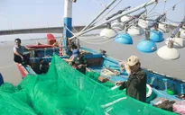 Ngư dân Hà Tĩnh ra khơi trúng đậm “lộc biển”