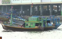 Ngư trường Bình Thuận cạn kiệt do nạn đánh bắt “tận diệt” hải sản