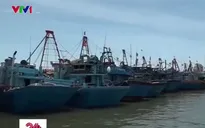 Ngư trường dậy sóng bởi những xung đột nghề cá