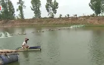 Người nuôi thủy sản chưa mặn mà với bảo hiểm nông nghiệp