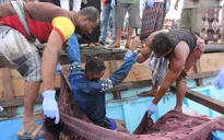 Hàng chục người tị nạn Somalia thiệt mạng ngoài khơi Yemen