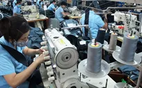 Thấy gì từ thực tế lao động lớn tuổi bị ép sa thải?