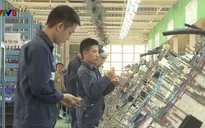 Thêm cơ hội cho lao động Việt Nam sang Nhật Bản làm việc